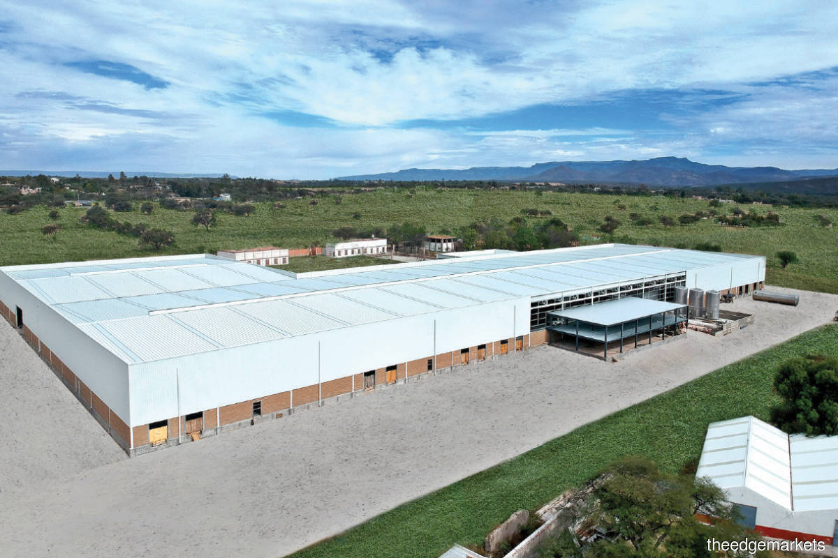 The Able Dairies Mexico factory was commissioned in July. (Photo by Able Global)